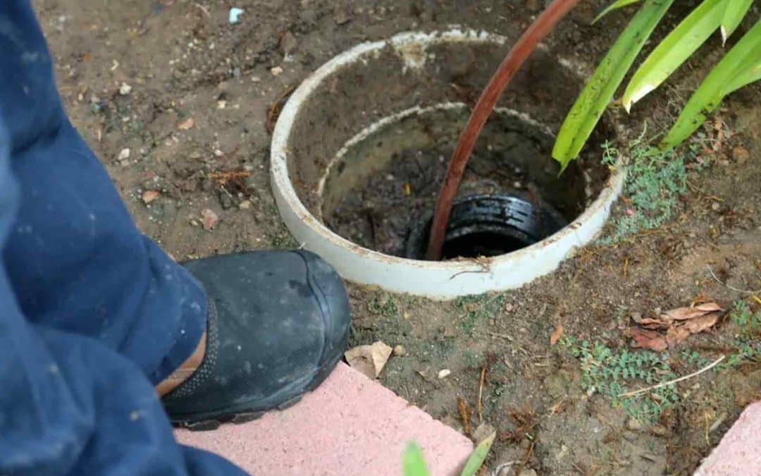 The Top Causes of a Sewer Line Clog