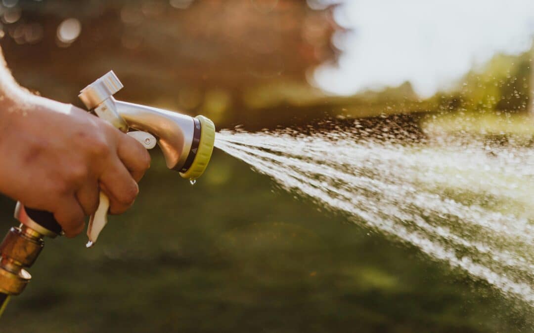 Efficient Water Management: Essential Tips for Utah Residents this Spring