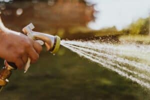 watering garden with a hose